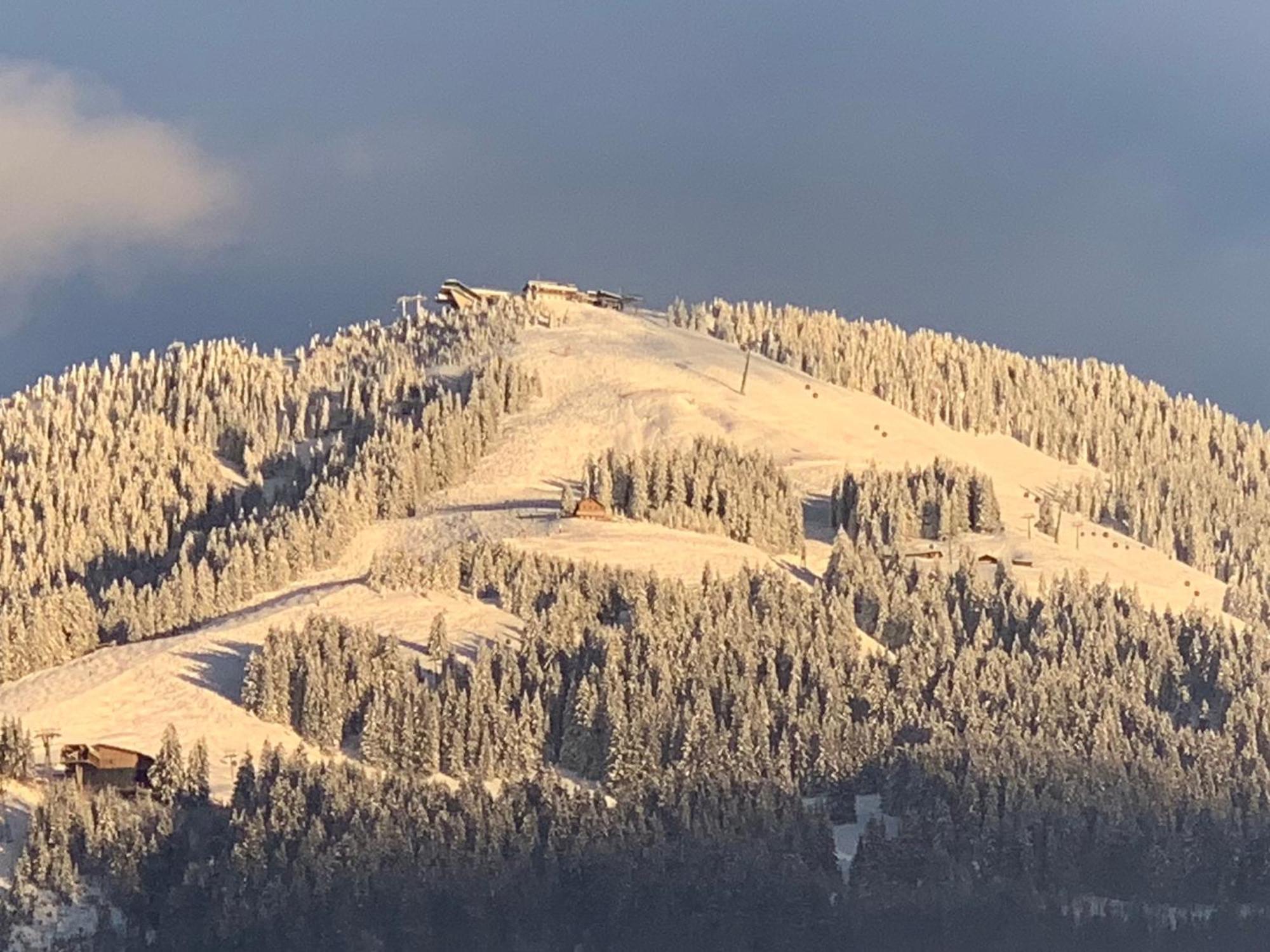 Appartementhaus Schubert Westendorf Dış mekan fotoğraf